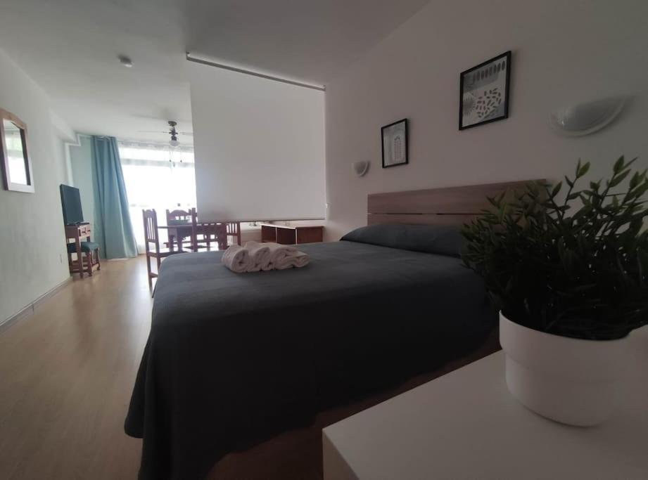 Apartmán Roquetas Costa Roquetas de Mar Exteriér fotografie